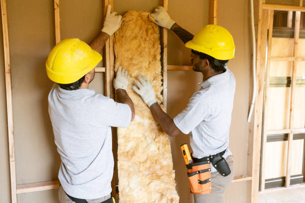 Best Attic Insulation Installation  in Lynchburg, OH